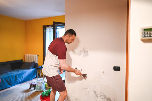 Trusted Hartington, NE Mold Remediation Experts